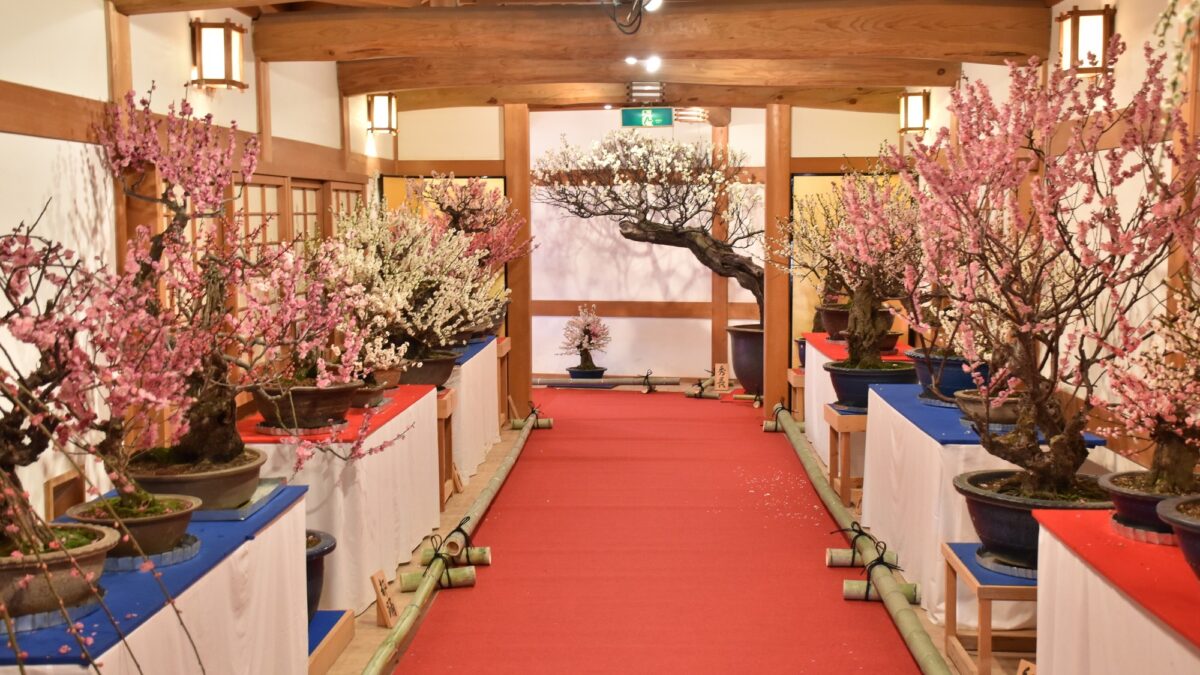 グランドメルキュール奈良橿原 photo
