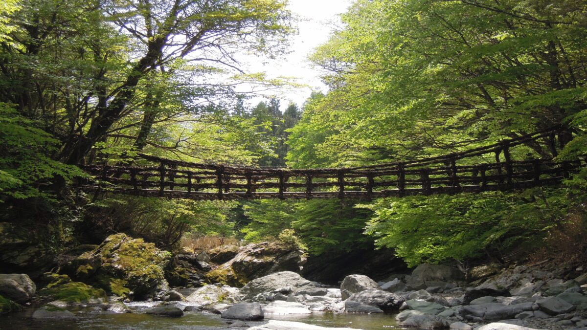 峡谷の湯宿 大歩危峡まんなか photo