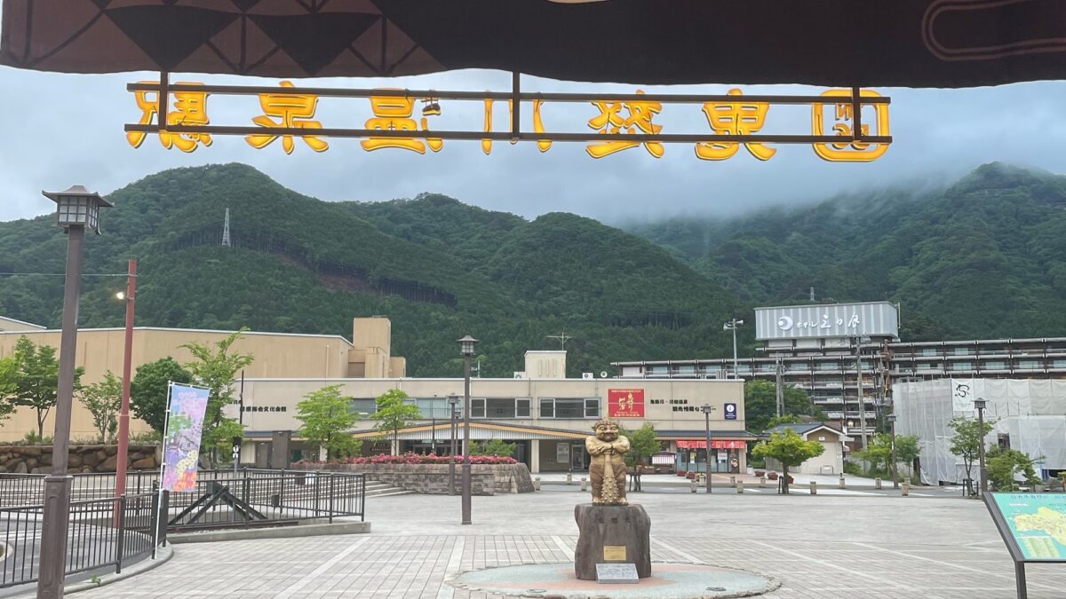鬼怒川温泉 ホテルハーヴェスト鬼怒川 photo