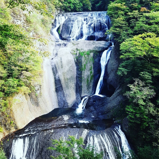 元湯 山田屋旅館 / Motoyu Yamadaya Ryokan photo