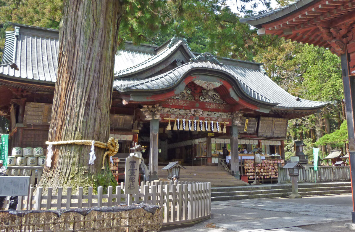 河口湖温泉 山岸旅館 photo