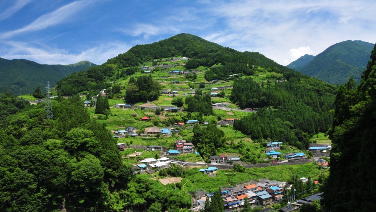 新祖谷温泉 ホテルかずら橋 photo