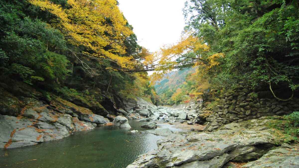新祖谷温泉 ホテルかずら橋 photo