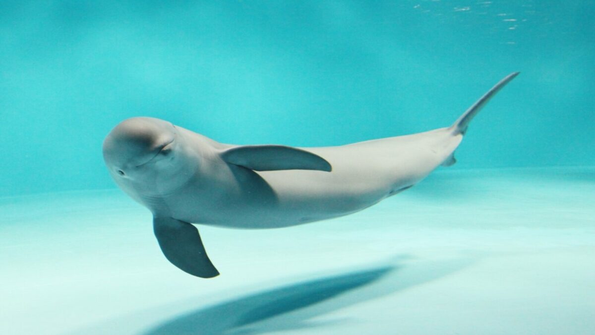 宮島水族館