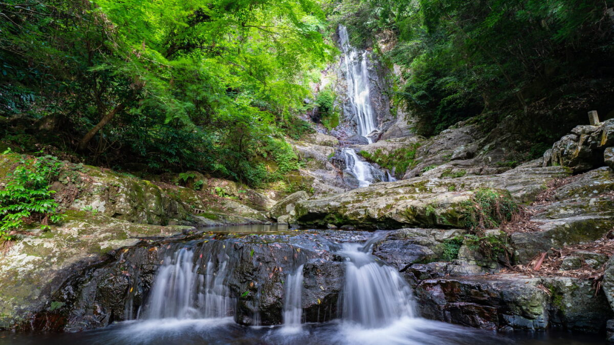 西鉄イン小倉 photo