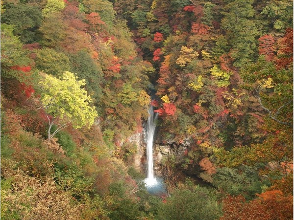 那須温泉 ホテルハーヴェスト那須 photo