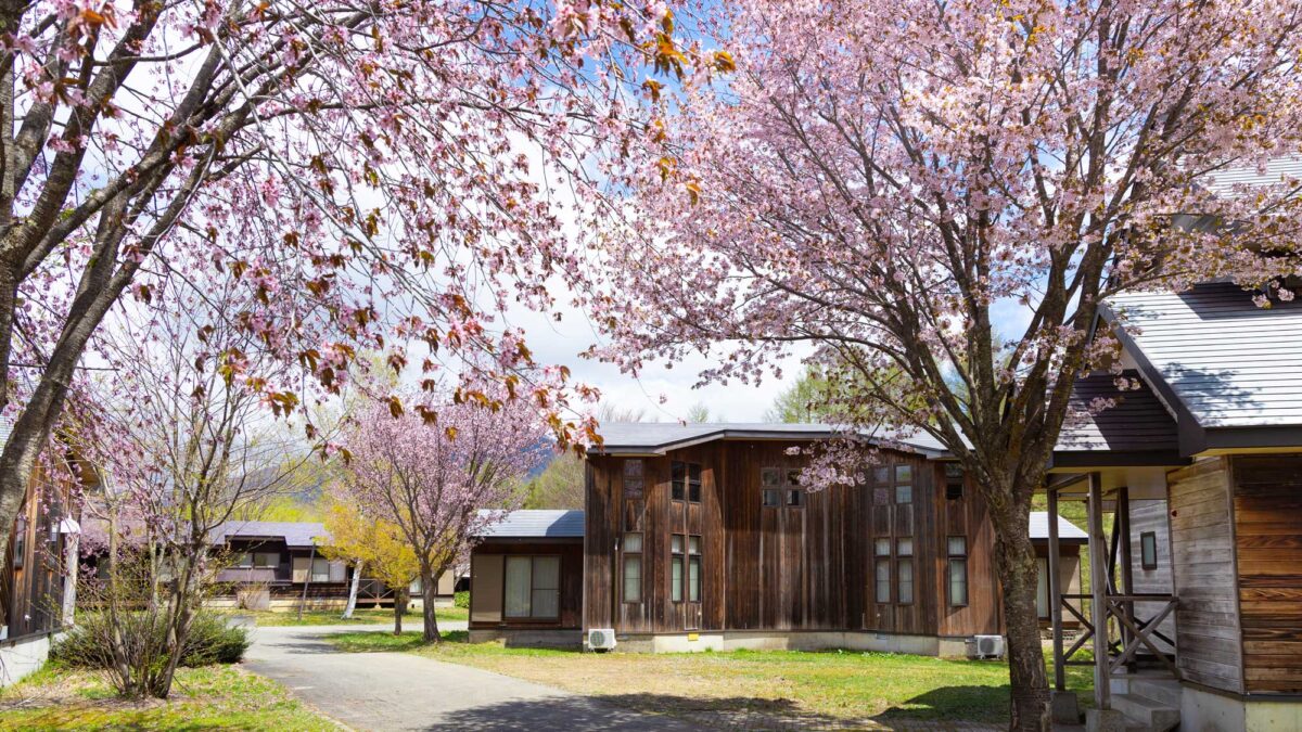 Ｎａｔｕｒｅ Ｃｏｔｔａｇｅ ＡＫＡＢＥＫＯ photo