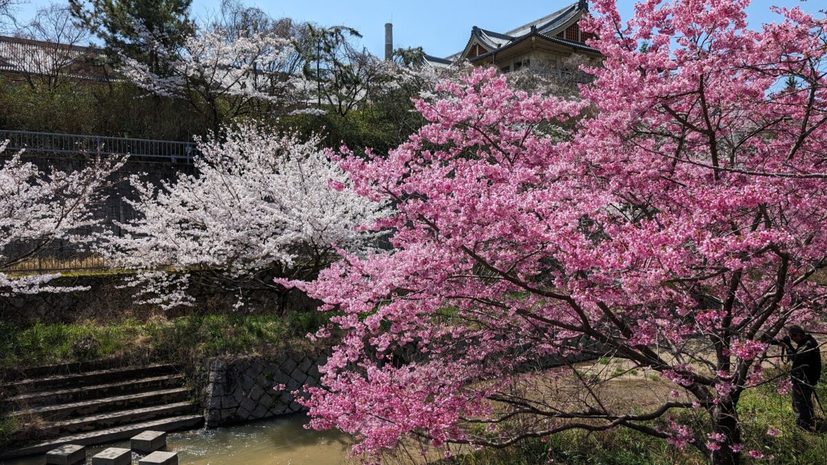 フェアフィールド・バイ・マリオット・奈良天理山の辺の道 photo