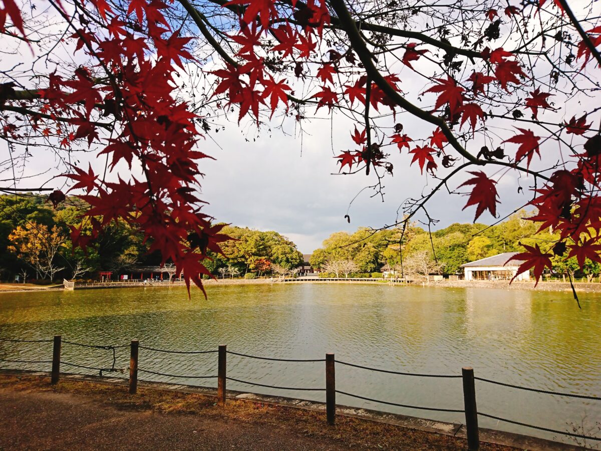 ゲストハウスはじまり photo