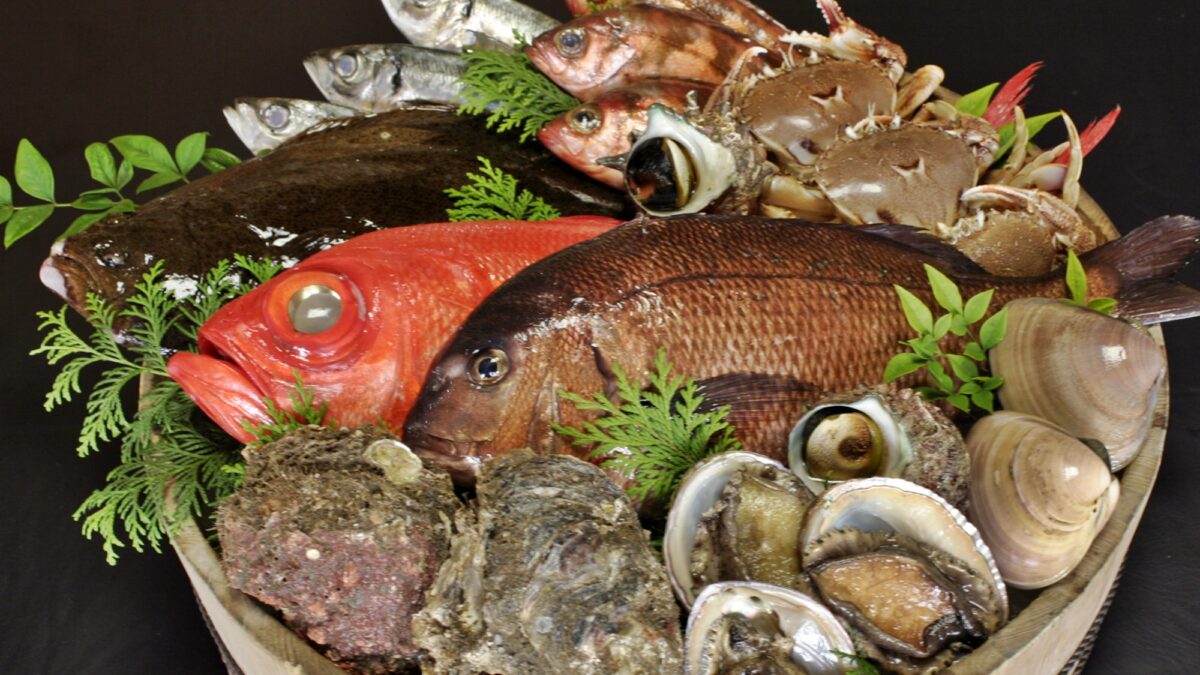 【旬の海の幸】これらの食材を、こだわりの磯料理に仕上げます