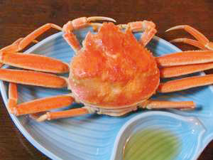 河甚旅館 photo