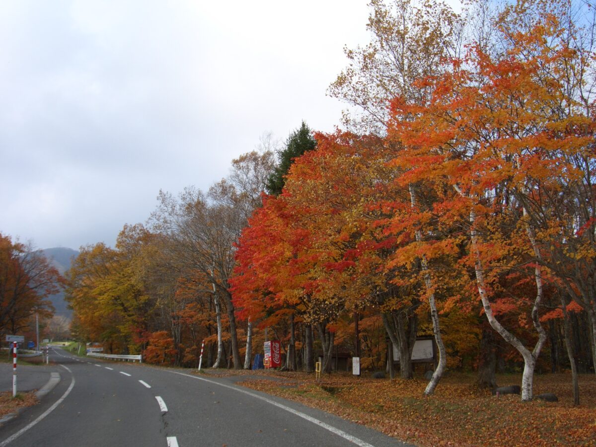 ホテル奥中山高原 photo