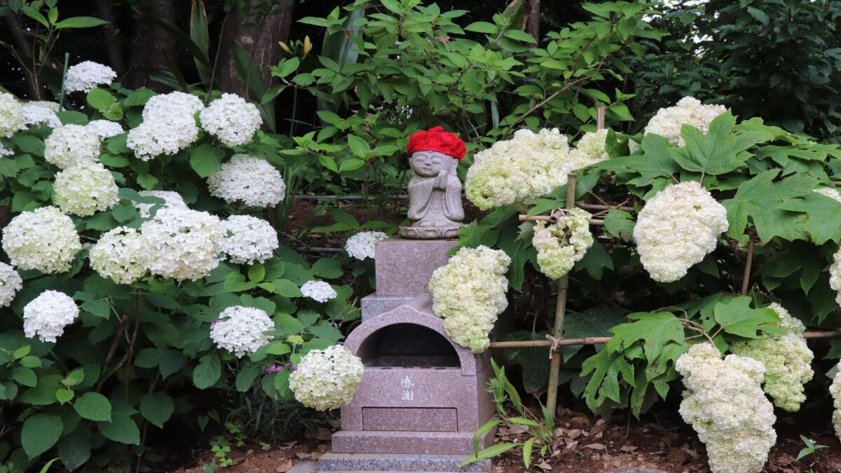 亀の井ホテル 潮来 photo