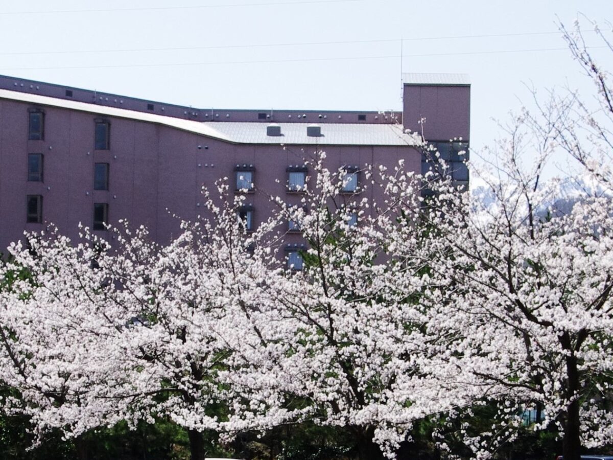 ホテル国富アネックス photo