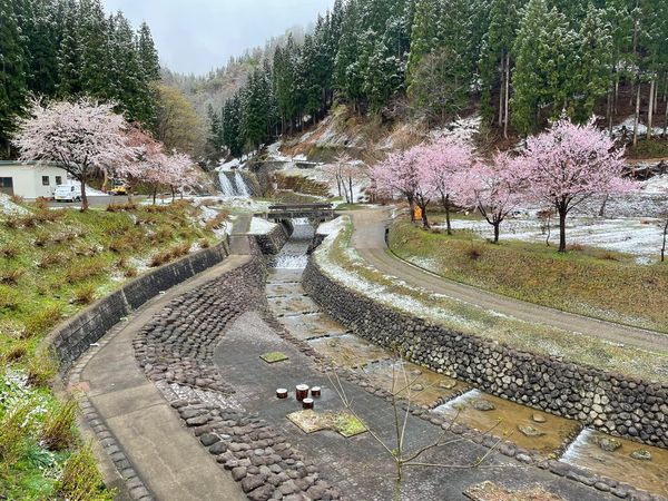 南郷夢温泉 共林荘 photo