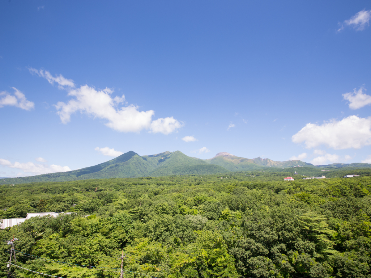 那須いちやホテル photo