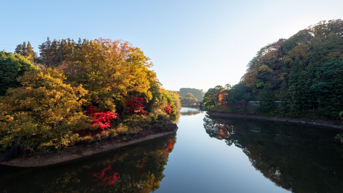 信貴山観光ホテル photo