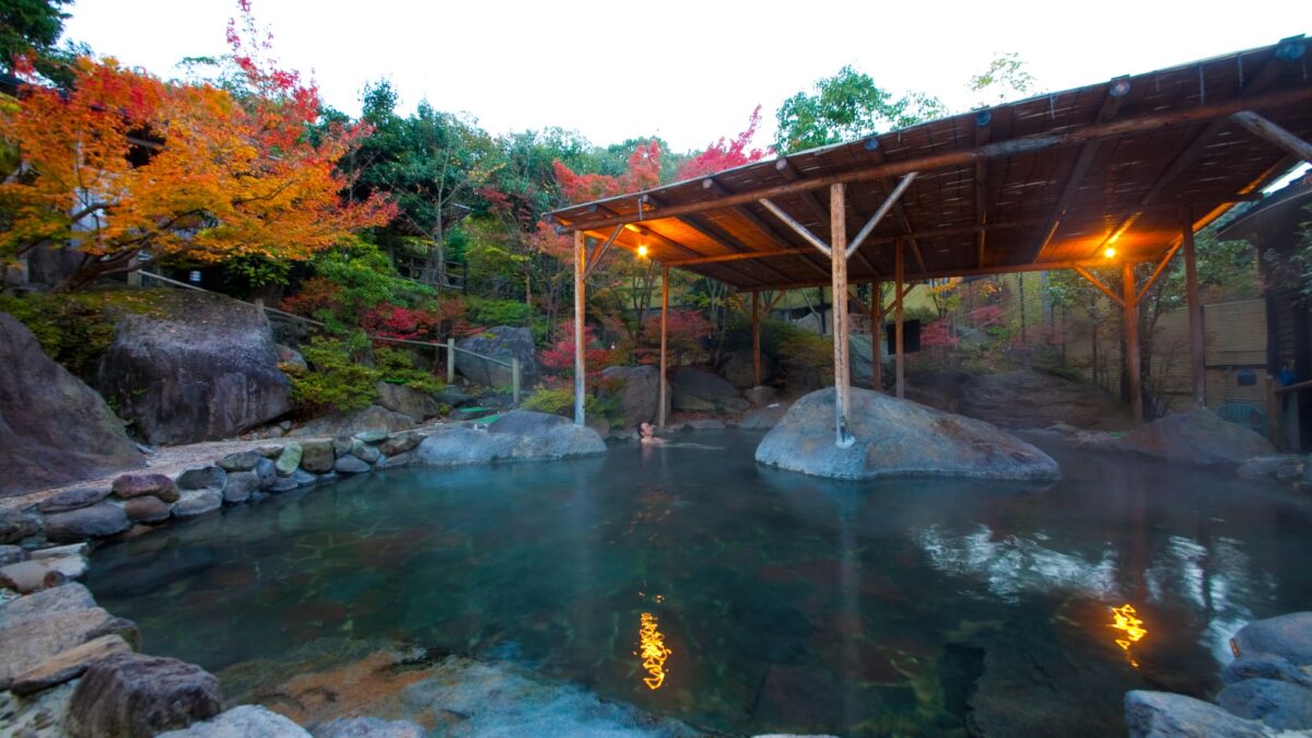 八面山金色温泉 こがね山荘 photo