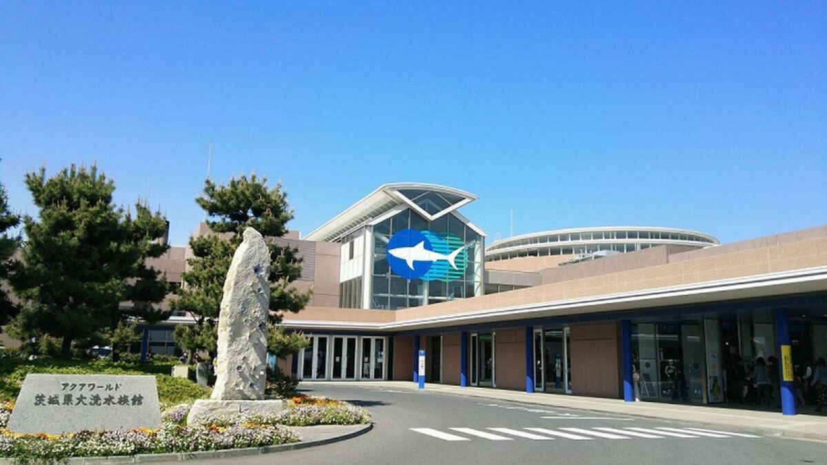 KOKO STAY 日立 photo