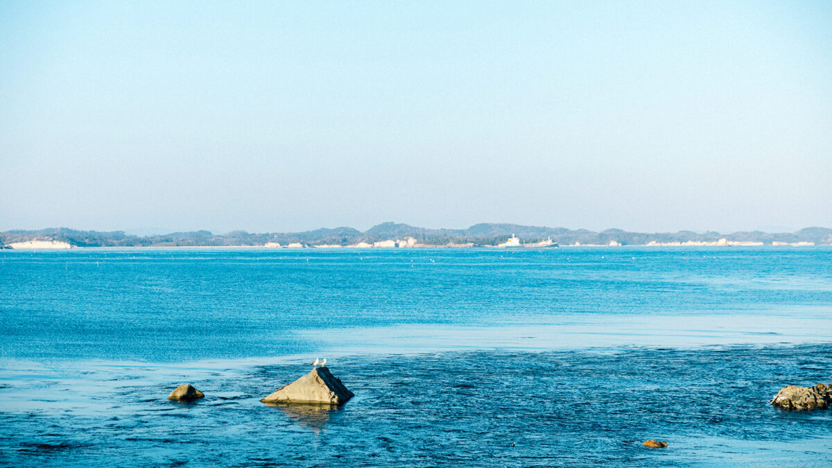 ＳＨＩＣＨＩ ＮＯ ＨＯＴＥＬ / SHICHI NO HOTEL photo
