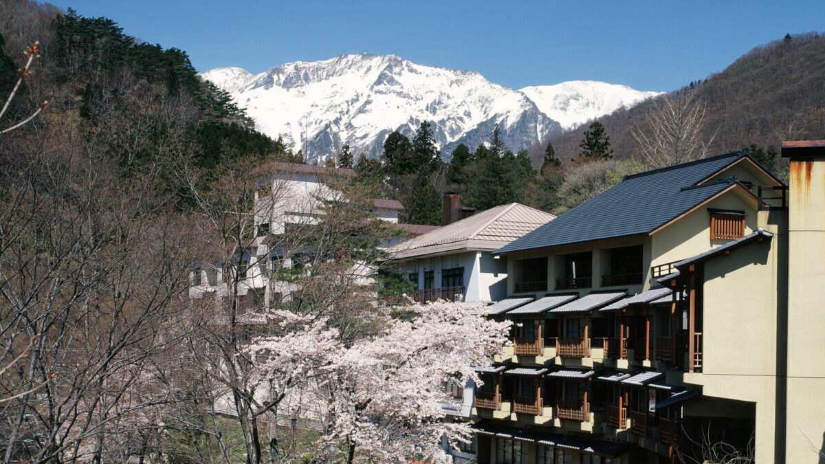 谷川温泉 金盛館せゝらぎ(せせらぎ) photo