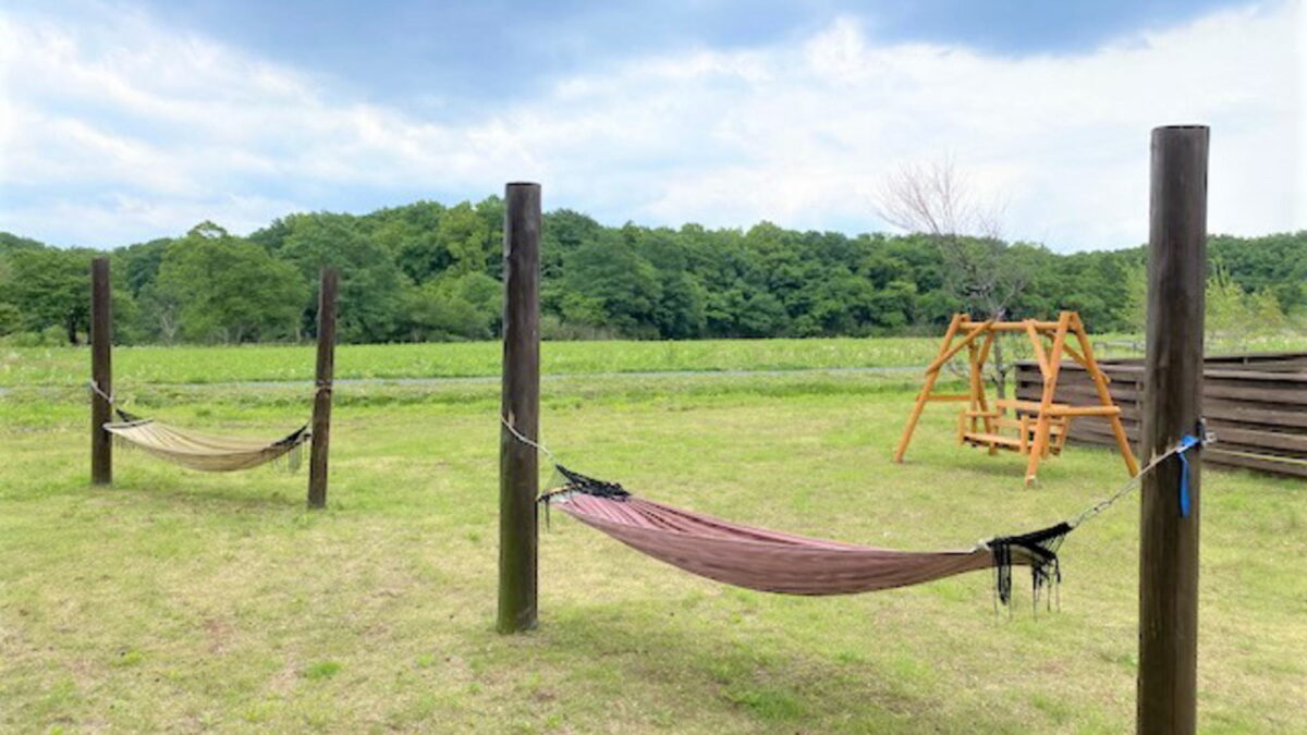 ホテル森の風那須 photo