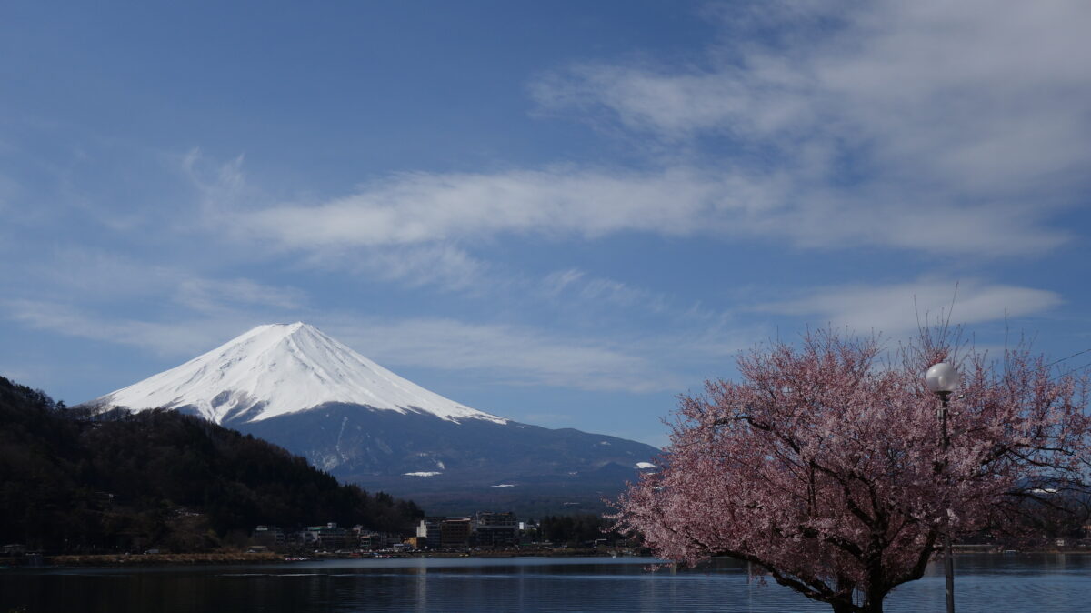富士河口湖温泉 ホテルニューセンチュリー photo