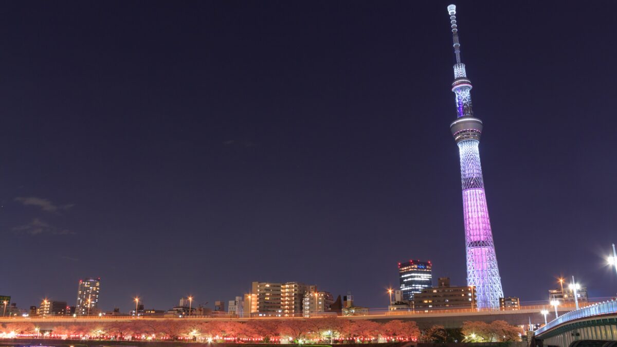 ロッテシティホテル錦糸町 photo
