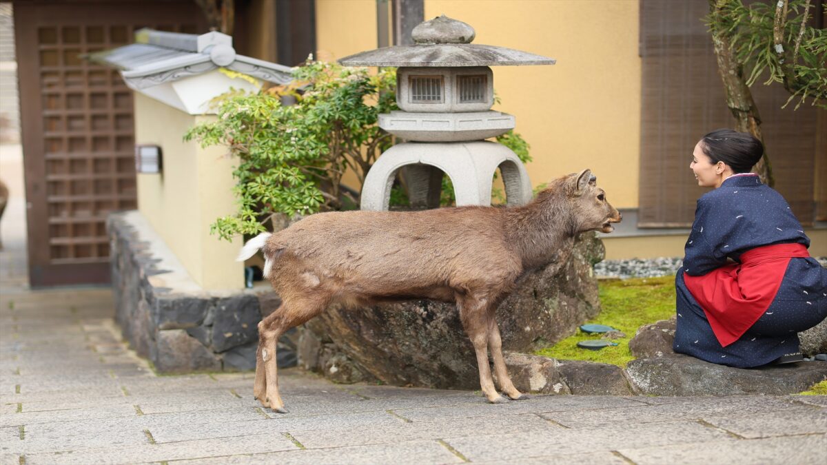 古都の宿 むさし野 photo