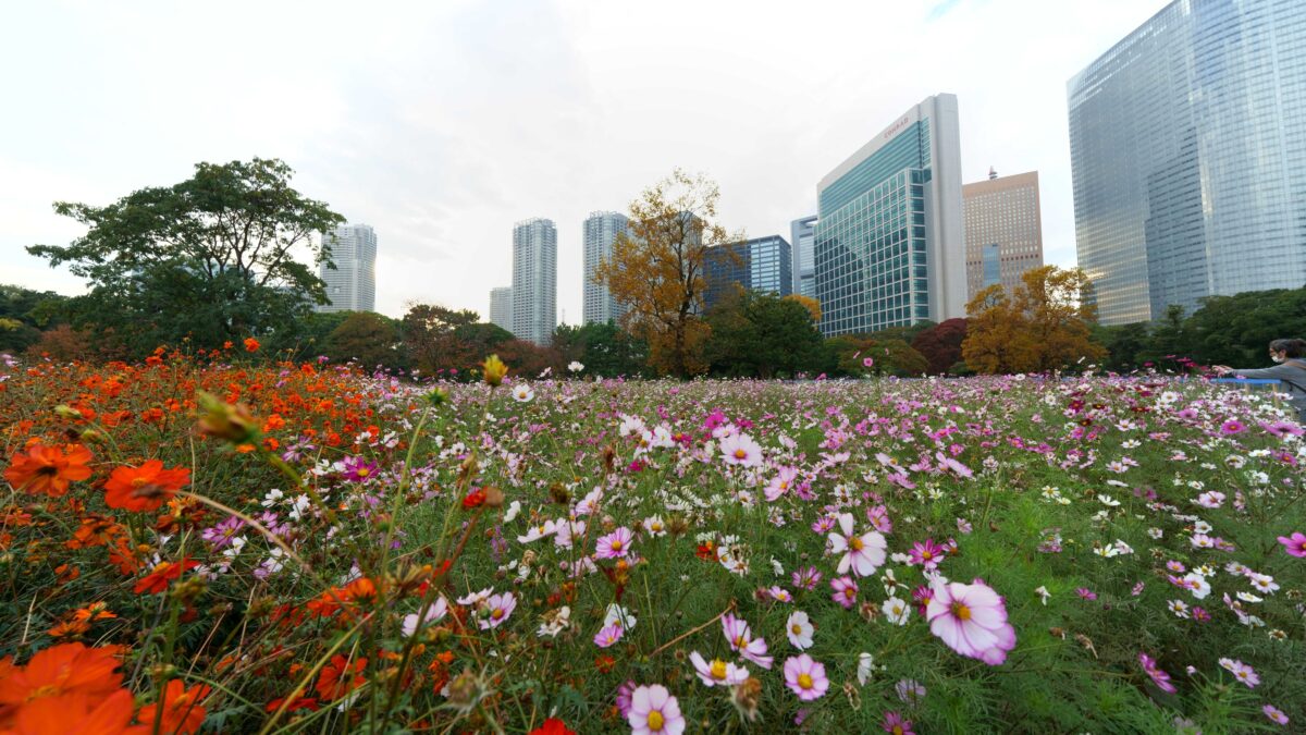 名鉄イン浜松町 photo