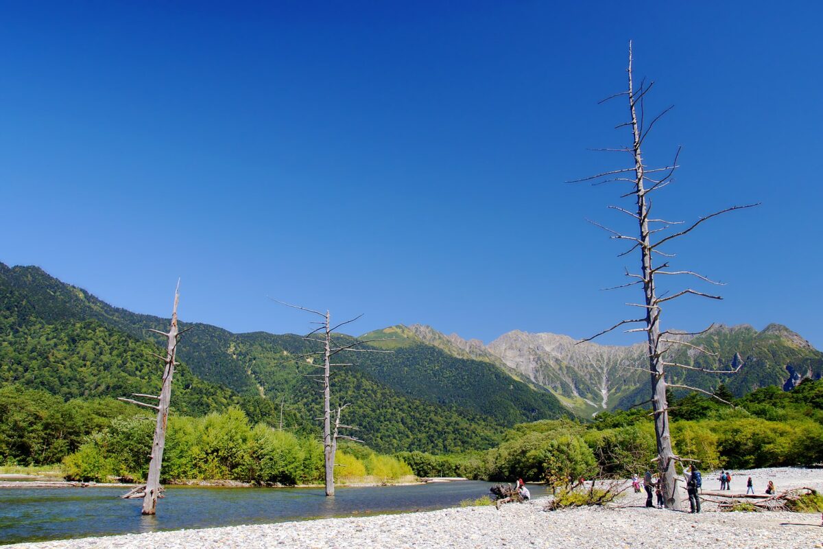 上高地大正池水面與穗高連峰