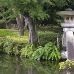 兼六園完整指南｜徽軫燈籠・霞之池・季節別半日路線