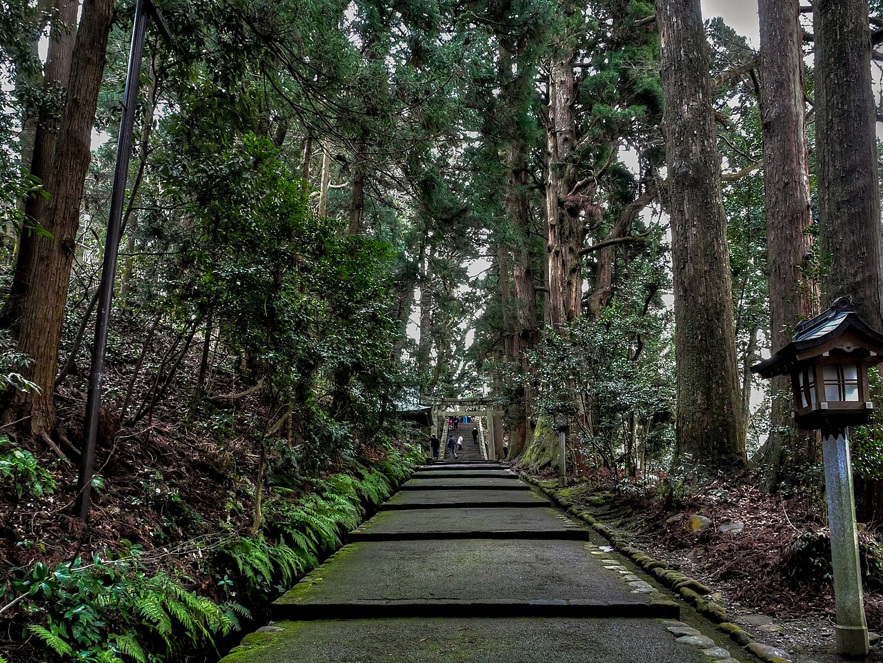 白山比咩神社杉木林表參道與石階