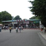 上野動物園完整指南|東園・西園・親子半日路線