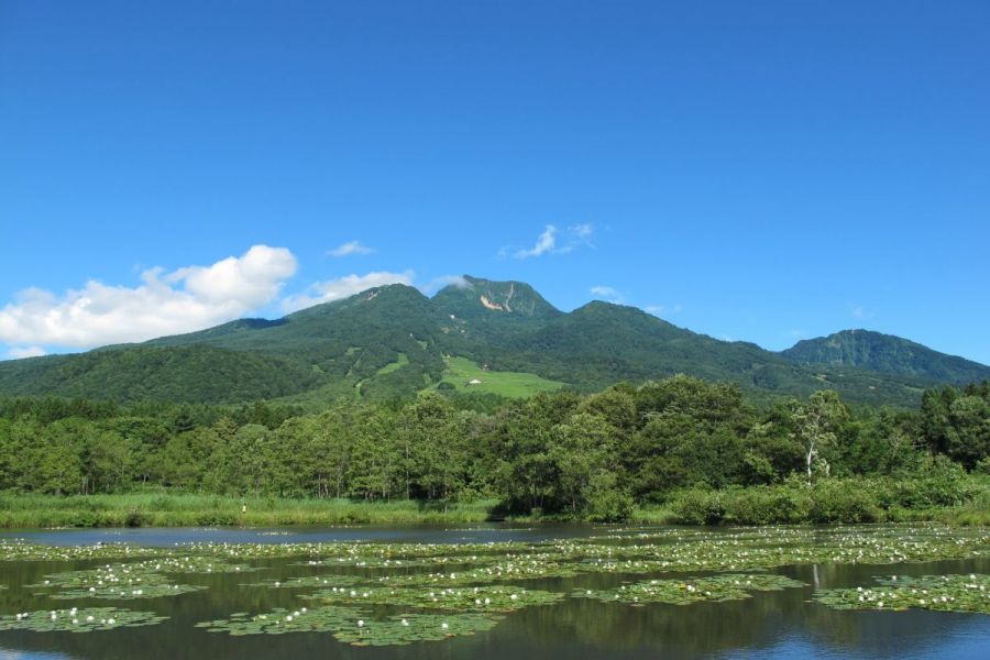 妙高山といもり池