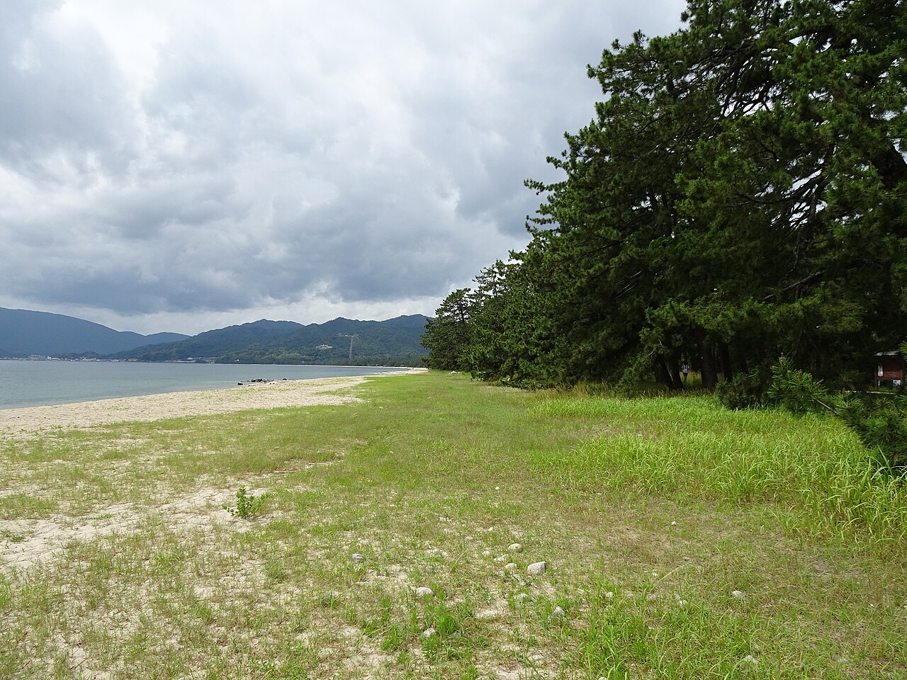 天橋立海水浴場的白砂、松林與宮津灣