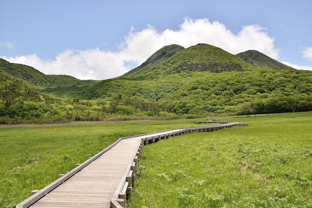 タデ原湿原