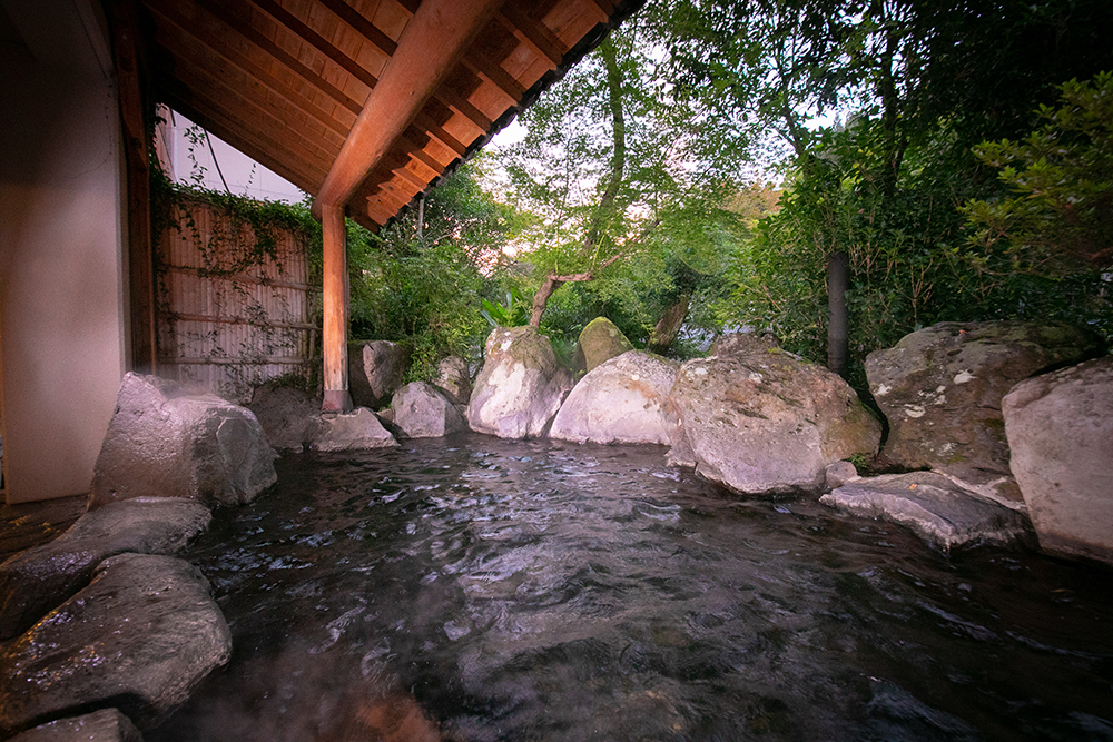 宝泉寺観光ホテル 湯本屋 photo