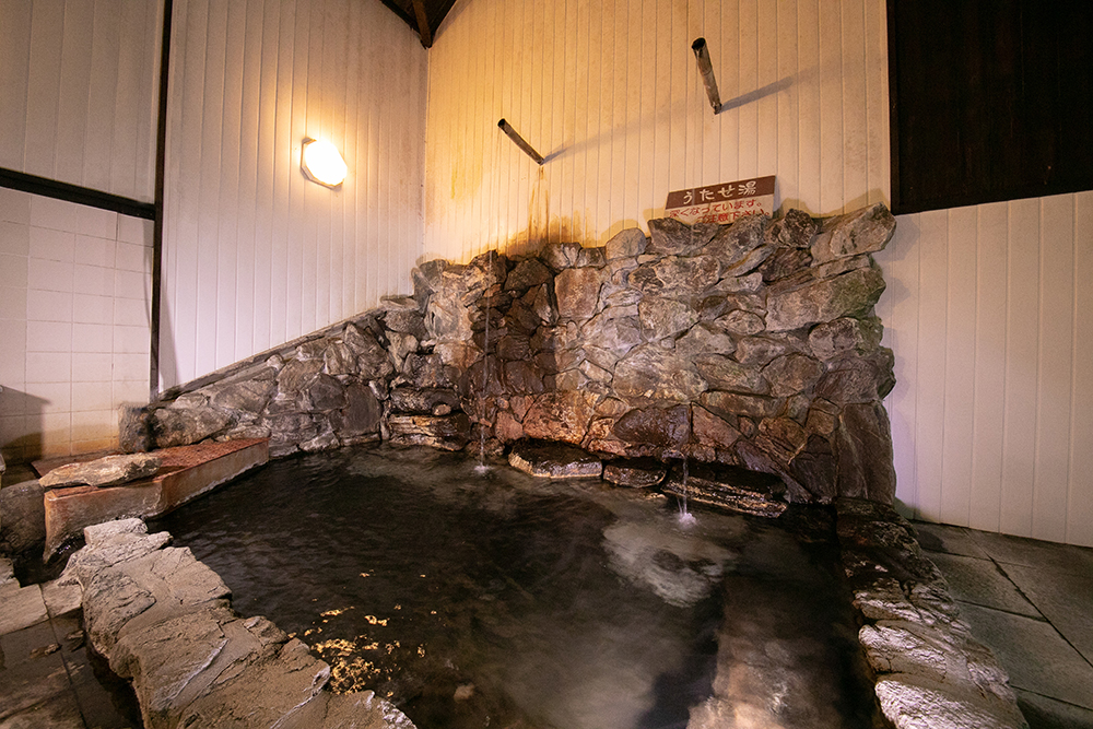宝泉寺観光ホテル 湯本屋 photo
