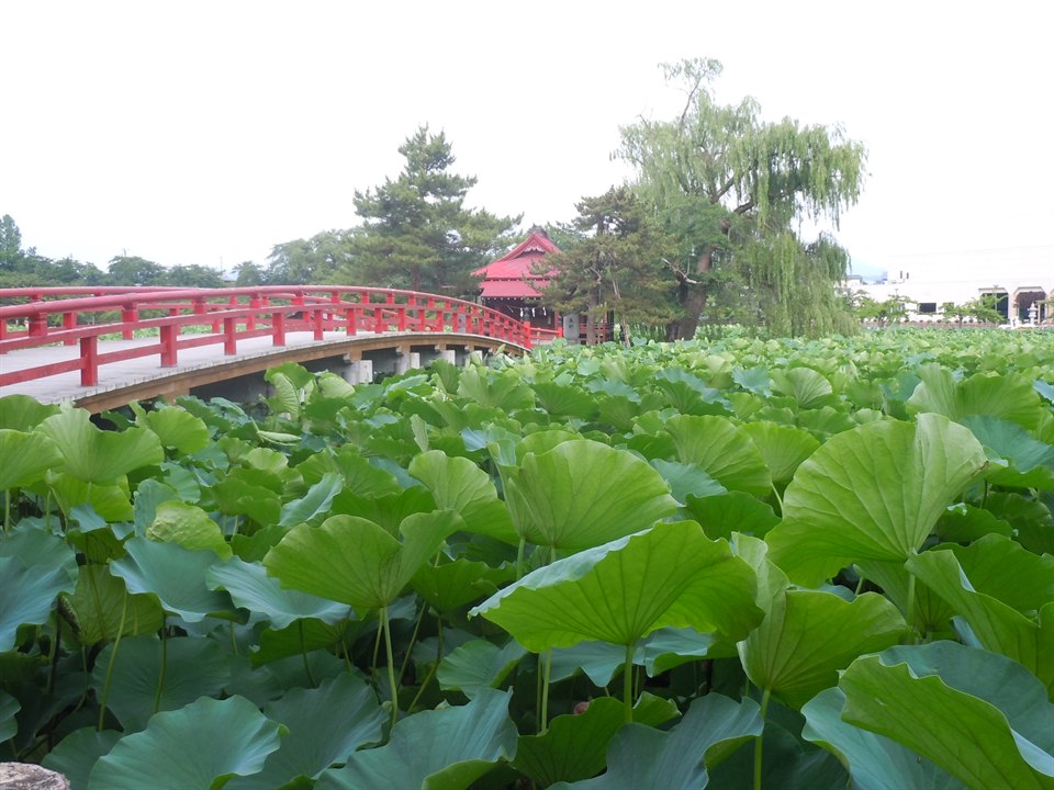 猿賀公園