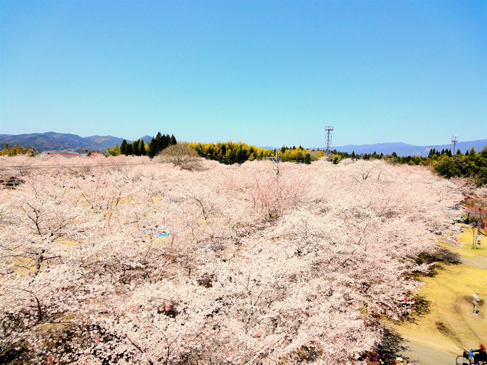 忠元公園