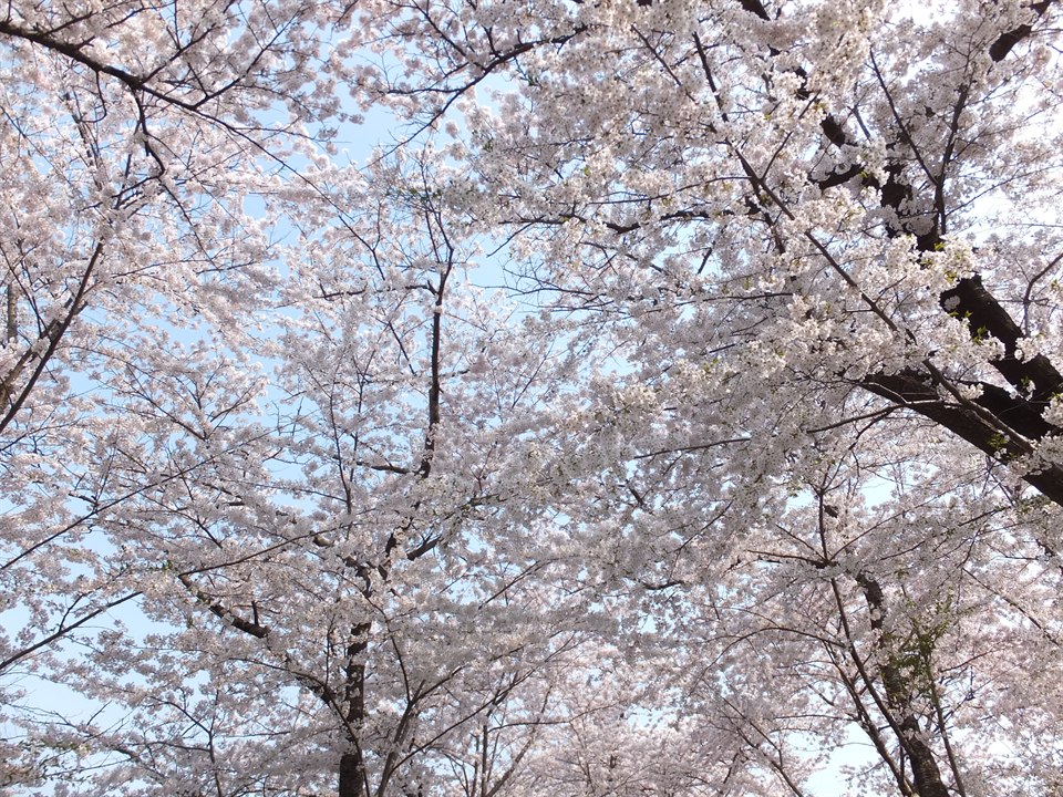 北上展勝地