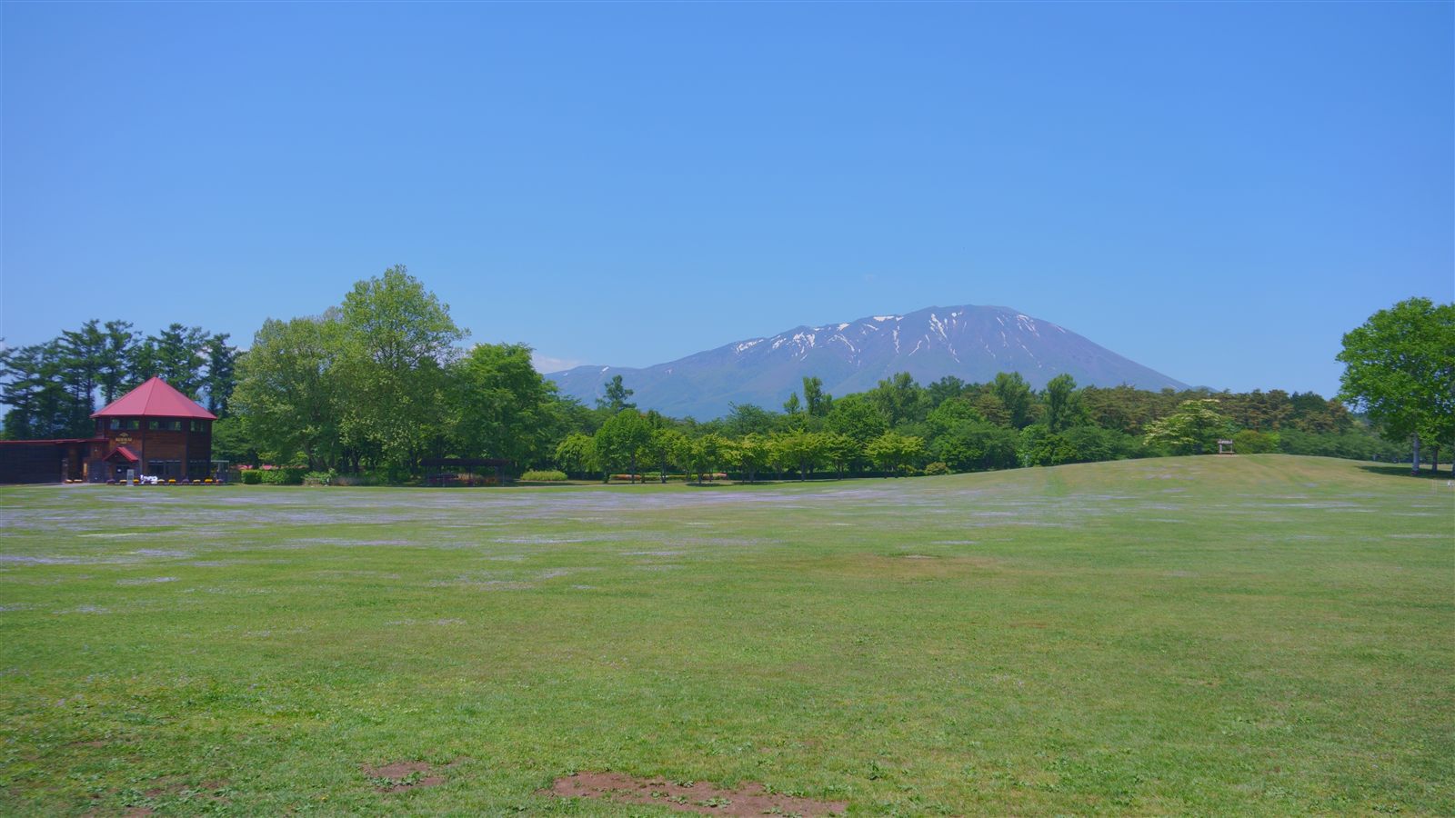 小岩井農場