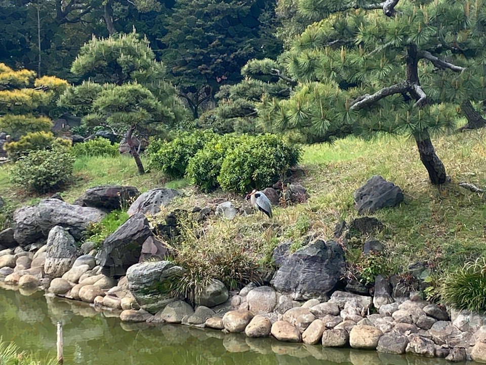 清澄庭園