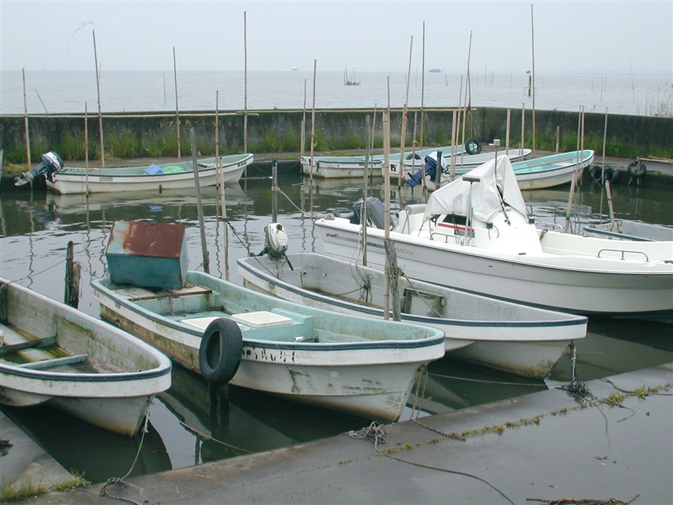 霞浦湖畔