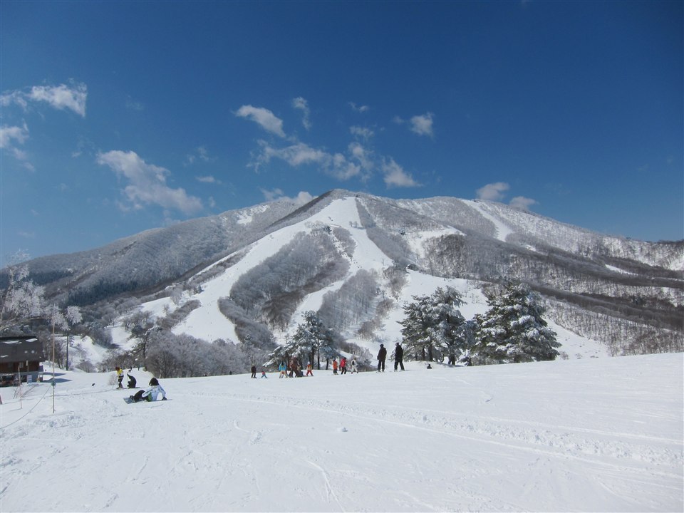 斑尾高原