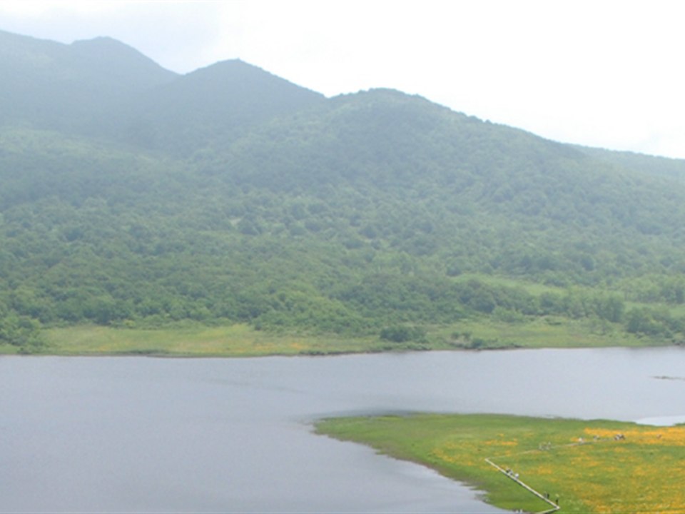 雄国沼