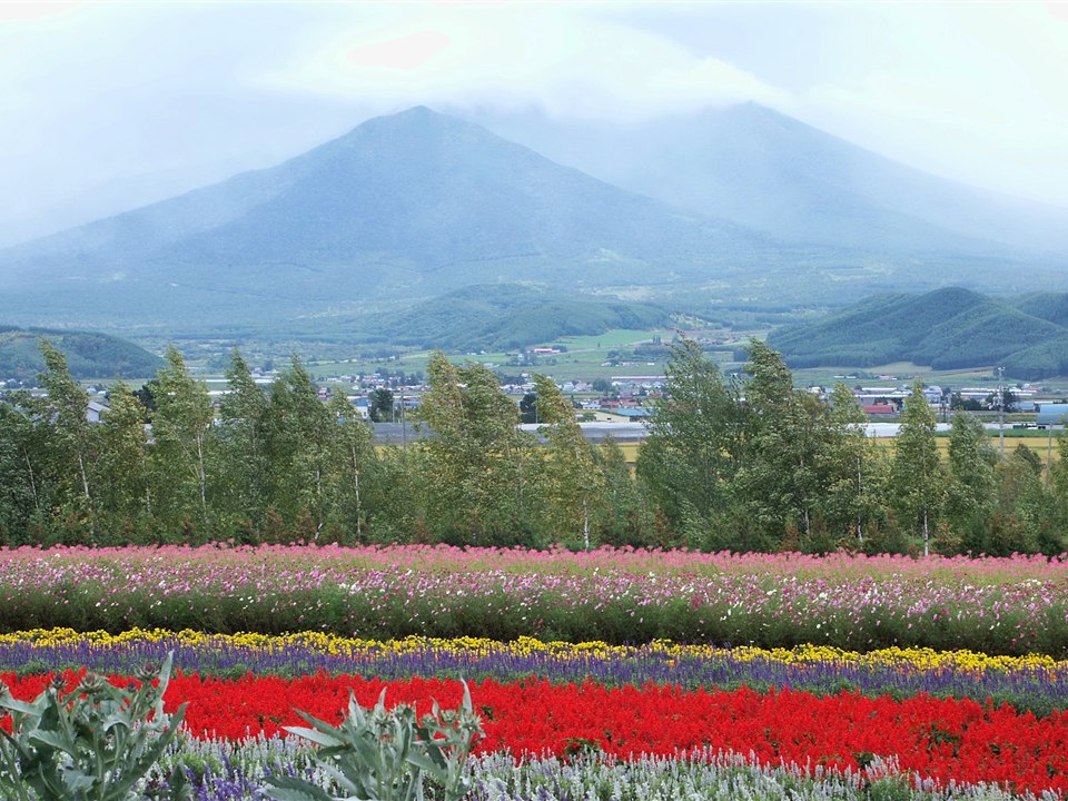 ファーム富田