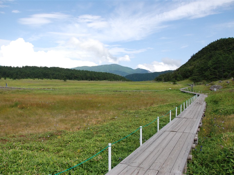 池の平湿原