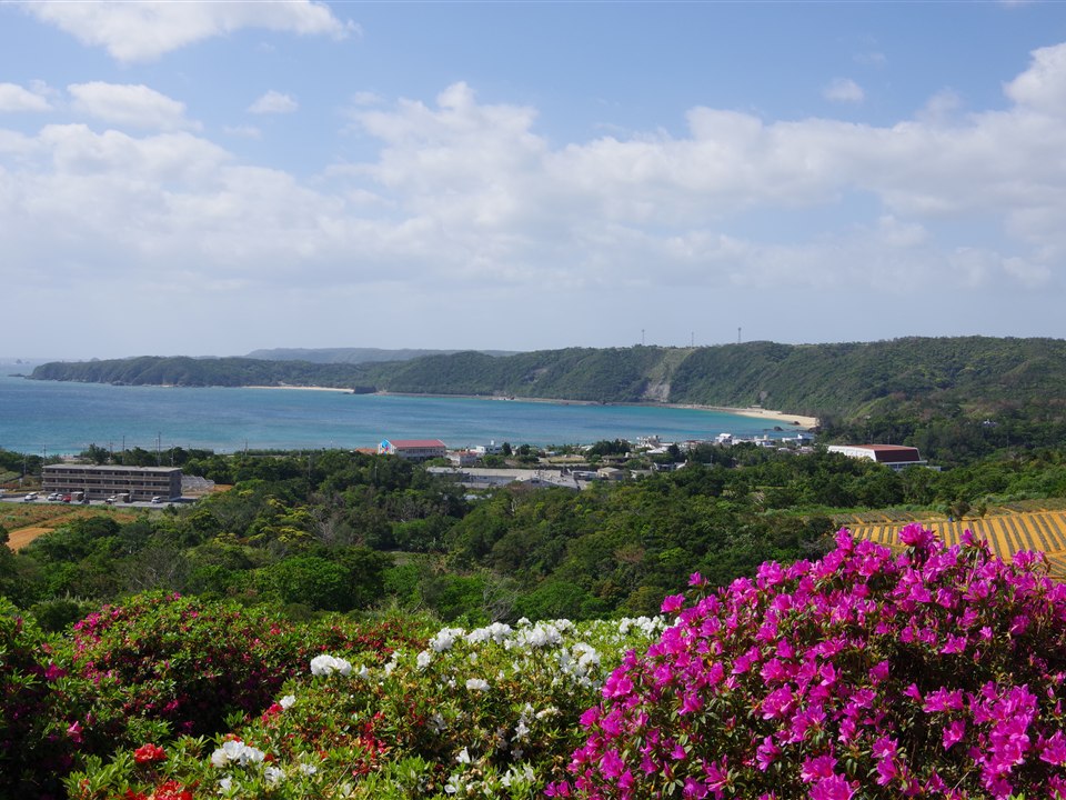 東村村民森林杜鵑花園